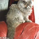 Ola Casper Profile Picture