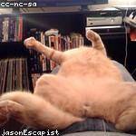 Guido Jacobson Profile Picture