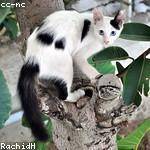 Leanna Batz Profile Picture