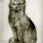 Beaulah Predovic Profile Picture