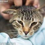 Cole DuBuque Profile Picture