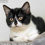 Jairo Carroll Profile Picture