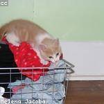 Maya Daniel Profile Picture