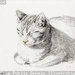 Hannah Kihn Profile Picture