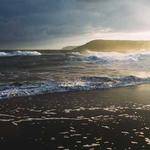 Torrance Kessler Profile Picture