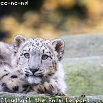 Eduardo McLaughlin Profile Picture