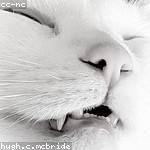 Jerod Mitchell Profile Picture