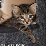 Odell Kuhlman Profile Picture