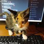 Dortha Klocko Profile Picture