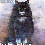 Heath Corkery Profile Picture