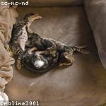 Sophie Jakubowski Profile Picture