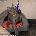 Agnes Leffler Profile Picture