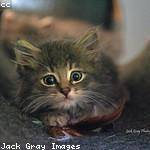 Fay Blanda Profile Picture