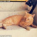 Jaylen Sporer Profile Picture