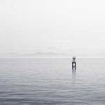 Donato Volkman Profile Picture