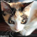 London Schamberger Profile Picture