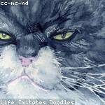 Katelyn Bruen Profile Picture