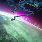 Stuart Schaden Profile Picture