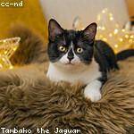 Jaunita Romaguera Profile Picture