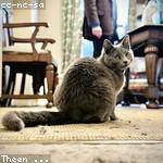 Ernestina West Profile Picture