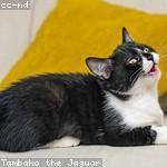 Ashton Kunze Profile Picture