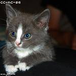 Darrell Kunze Profile Picture