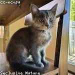 Maymie Pfannerstill Profile Picture