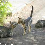 Elias Sporer Profile Picture