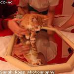 Shad Watsica Profile Picture