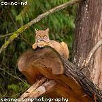 Elliot Zieme Profile Picture