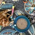 Jazmyn Little Profile Picture