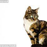 Josefa Fay Profile Picture