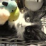 Herbert Haag Profile Picture