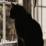 Kiley Rutherford Profile Picture