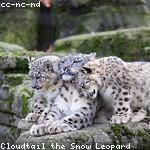 Della Bernhard Profile Picture