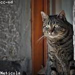 Francisco Metz Profile Picture