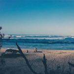 Riley Schuster Profile Picture