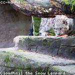 Ursula Walter Profile Picture