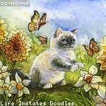 Brayan Wisozk Profile Picture