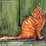 Madisyn Durgan Profile Picture