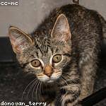 Mitchell Jones Profile Picture