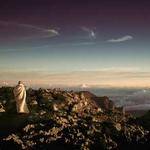 Dana Brakus Profile Picture