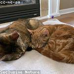 Elza Upton Profile Picture