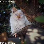 Muriel Heathcote Profile Picture