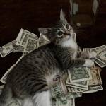 Rebecca Calderon Profile Picture