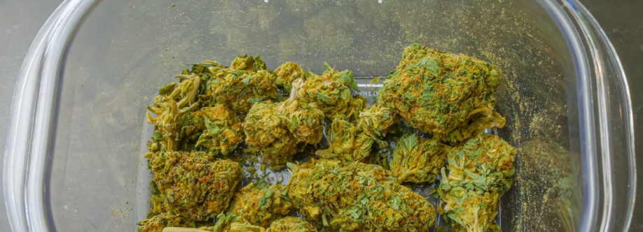 Chloe Rick Cover Image