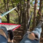 Elizabeth Kay profile picture