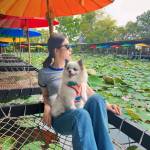 Sasithorn Boonplook profile picture