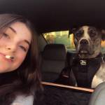 Aaliyah Cole profile picture