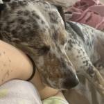 Elva Nightshade Profile Picture